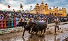 ಈ ಬಾರಿ ಮೈಸೂರು ದಸರೆಗೆ ಕಂಬಳ ಮೆರುಗು: ತೀರ್ಮಾನ 