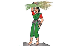 ಹಿರಿಯೂರಲ್ಲಿ ದಳ ಏಕಾಂಗಿ ಸ್ಪರ್ಧೆ?