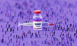 India clears first dengue vaccine, QDENGA, for people aged 4 to 60
