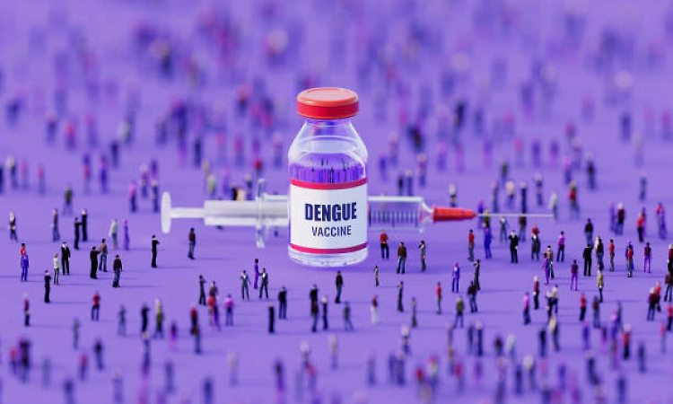 India clears first dengue vaccine, QDENGA, for people aged 4 to 60