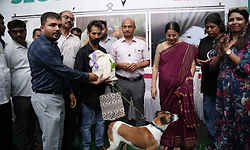 Bengaluru: ದತ್ತು ಸ್ವೀಕಾರ ಅಭಿಯಾನ: 40 ನಾಯಿಗಳ ಪ್ರದರ್ಶನ