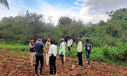 Hunsur: ಹುಲಿ ದಾಳಿಗೆ ಹಸು ಬಲಿ: ಗ್ರಾಮಸ್ಥರಲ್ಲಿ ಆತಂಕ