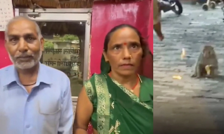 Ayodhya monkey grabs woman's Rs 42,105, cops use fruity trick to recover it
