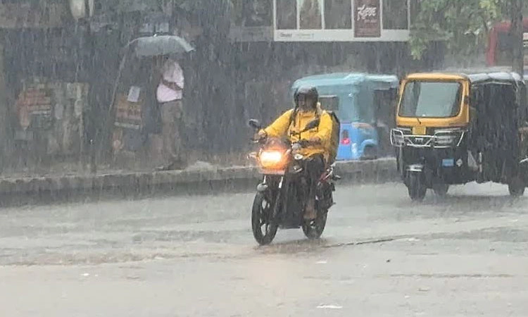 Rain: ಉಡುಪಿ-ದಕ್ಷಿಣ ಕನ್ನಡ ಜಿಲ್ಲಾದ್ಯಂತ ಉತ್ತಮ ಮಳೆ