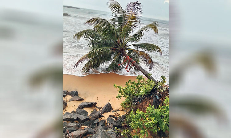 ಮಟ್ಟು ಬೀಚ್‌: ತೀವ್ರಗೊಂಡ ಕಡಲ್ಕೊರೆತ; ಸುರಕ್ಷ ಕ್ರಮಗಳಿಲ್ಲ