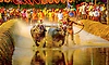 Kambala: ಕಂಬಳದಲ್ಲಿ ಕಾಣಿಸಲಿದೆ ಲೈವ್‌ ಟೈಮಿಂಗ್ಸ್‌! ಹೊಸ ಪ್ರಯೋಗಕ್ಕೆ ಸಿದ್ಧತೆ
