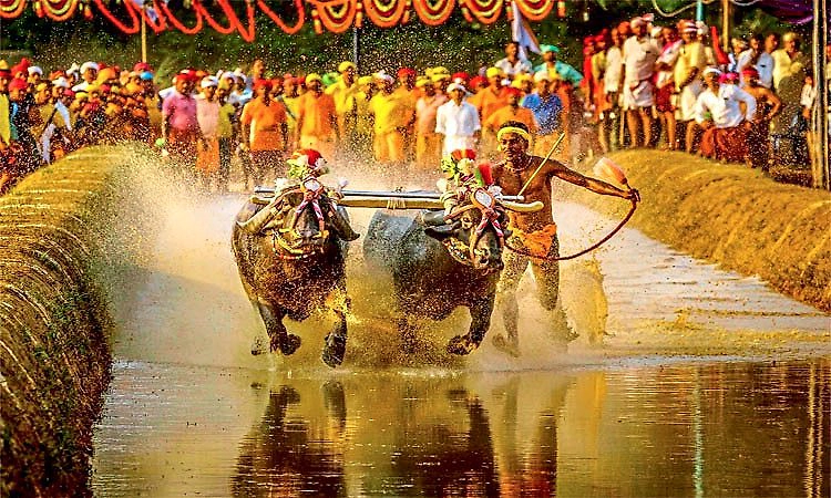 Kambala: ಕಂಬಳದಲ್ಲಿ ಕಾಣಿಸಲಿದೆ ಲೈವ್‌ ಟೈಮಿಂಗ್ಸ್‌! ಹೊಸ ಪ್ರಯೋಗಕ್ಕೆ ಸಿದ್ಧತೆ