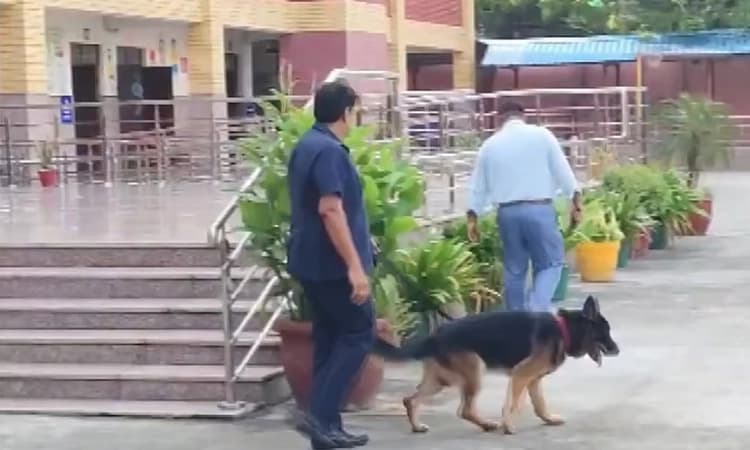 Multiple Delhi schools receive bomb threats; search operations underway