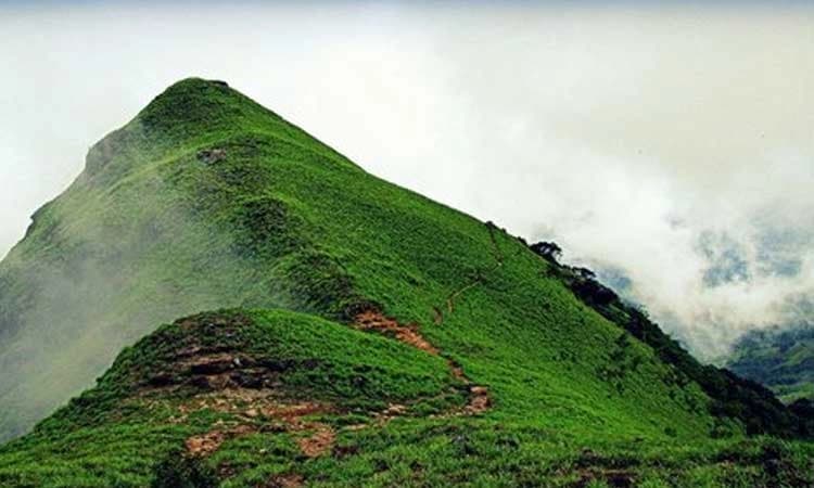 Trekking banned in Kudremukh and nearby wildlife areas as fire season approaches