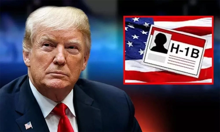 H-1B Visa ಶುಲ್ಕ 1,00,000 ಡಾಲರ್‌ ಗೆ ಹೆಚ್ಚಿಸಿದ ಟ್ರಂಪ್...ಇದರ ಪರಿಣಾಮವೇನು?