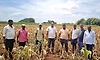 ಬಾದಾಮಿ ಬರಗಾಲ ಘೋಷಣೆ: ಕೇಂದ್ರ ಸರ್ಕಾರ ಆದಷ್ಟು ಬೇಗ ಹಣಕಾಸಿನ ನೆರವು ನೀಡಲಿ: ಶಾಸಕ ಭೀಮಸೇನ