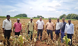 ಬಾದಾಮಿ ಬರಗಾಲ ಘೋಷಣೆ: ಕೇಂದ್ರ ಸರ್ಕಾರ ಆದಷ್ಟು ಬೇಗ ಹಣಕಾಸಿನ ನೆರವು ನೀಡಲಿ: ಶಾಸಕ ಭೀಮಸೇನ