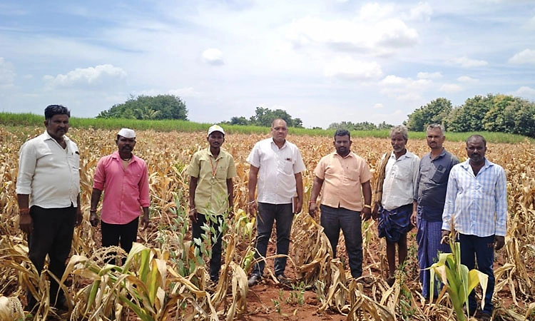 ಬಾದಾಮಿ ಬರಗಾಲ ಘೋಷಣೆ: ಕೇಂದ್ರ ಸರ್ಕಾರ ಆದಷ್ಟು ಬೇಗ ಹಣಕಾಸಿನ ನೆರವು ನೀಡಲಿ: ಶಾಸಕ ಭೀಮಸೇನ