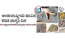ಅಂತಾರಾಷ್ಟ್ರೀಯ ಹಾವಿನ ಕಡಿತ ಜಾಗೃತಿ ದಿನ