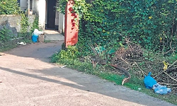 ಉಡುಪಿಯಲ್ಲಿ ದಾರಿ ತಪ್ಪಿದ ಕಸ ವಿಲೇವಾರಿ