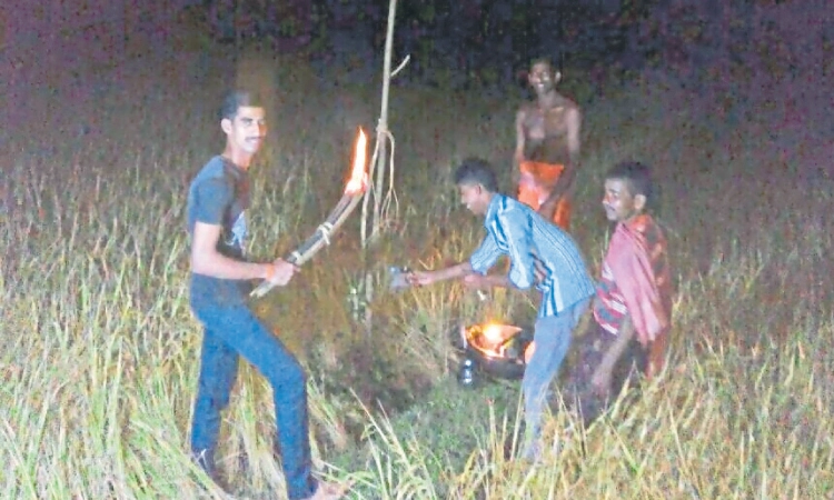 ಗದ್ದೆಗೆ ಬಲೀಂದ್ರ ಆಗಮನಕ್ಕೆ ಪ್ರಾರ್ಥನೆ