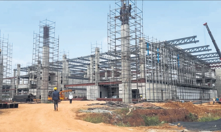 ಜನದಟ್ಟಣೆ ಇದ್ದರೂ ತಗ್ಗಿದಲೋಹದ ಹಕ್ಕಿಗಳ ಕಲರವ