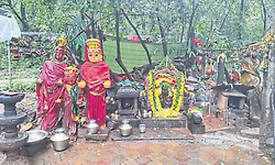 ಕೊಲ್ಲೂರಿನ ಕಾವಲುಗಾರ್ತಿ ಈ ವನದೇವತೆ