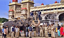 ದಸರೆ ಜಂಬೂಸವಾರಿ ವೈಭವಕ್ಕೆ ಖಾಕಿ ಕಣ್ಗಾವಲು- ಲಕ್ಷಾಂತರ ಜನರ ಆಗಮನ