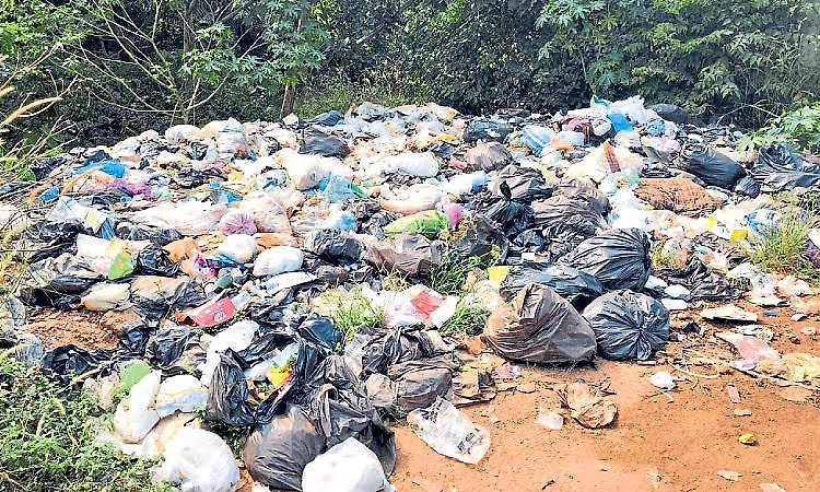 Open waste dumps plague Ullal despite its reputation as an education and healthcare hub