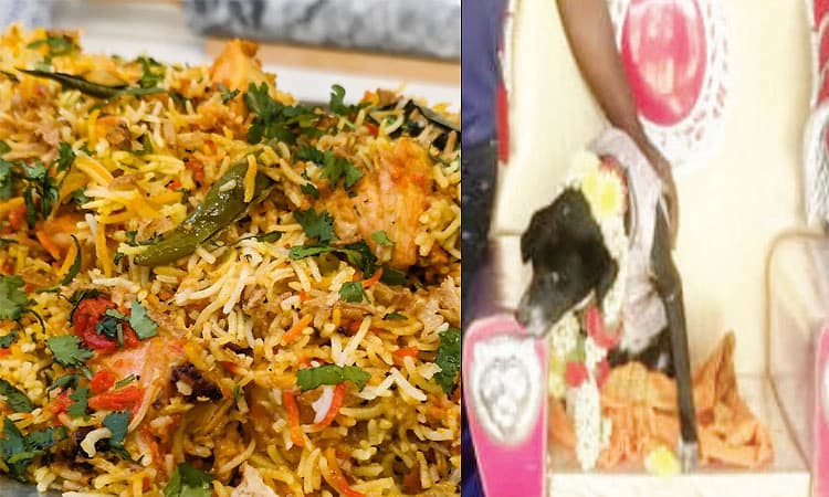 ತಿಪಟೂರು: 50 ಕೆ.ಜಿ. ಚಿಕನ್‌ ಬಿರಿಯಾನಿ ಊಟ ಹಾಕಿಸಿ ಶ್ವಾನಕ್ಕೆ ಸೀಮಂತ!