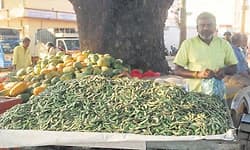 ಹಾದಿಬೀದಿಗಳಲ್ಲಿ ಅವರೆ ಕಾಯಿ ಘಮಲು