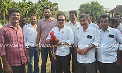 ಕೇಪು: ಪೊಲೀಸರ ಅಡ್ಡಿ ಮಧ್ಯೆಯೇ ದೈವಸ್ಥಾನದಲ್ಲಿ ಕೋಳಿ ಅಂಕ ನಡೆಸಿದ ಶಾಸಕ ಅಶೋಕ್ ರೈ!