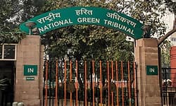 ಚಿಕ್ಕಮಗಳೂರು: ಹೆಲಿ ಟೂರಿಸಂಗೆ ಎನ್‌ಜಿಟಿಯಿಂದ ತಾತ್ಕಾಲಿಕ ತಡೆ