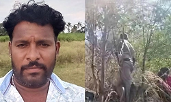 Leopard attack kills youth during foot pilgrimage to Male Mahadeshwara Hills