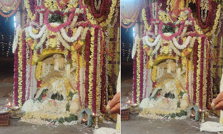 Thirthahalli: ಶ್ರೀ ಕ್ಷೇತ್ರಗಳ ಸನ್ನಿಧಿಯಲ್ಲಿ ಜ.24ರಂದು ಶ್ರೀ ನಾಗದೇವತೆ ವರ್ದಂತಿ ಮಹೋತ್ಸವ