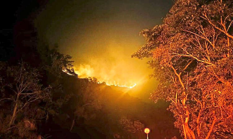 Mangaluru: ವಿಶೇಷ ವರದಿ: ಕಾಳ್ಗಿಚ್ಚು ತಡೆಗೆ 1,792 ಕಿ.ಮೀ. ಬೆಂಕಿ ರೇಖೆ ನಿರ್ಮಾಣ