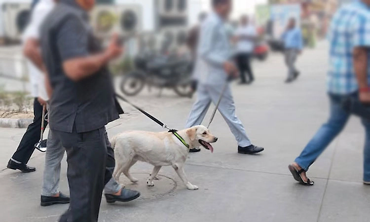 Boy injured in explosion after playing with suspicious object in Belthangady