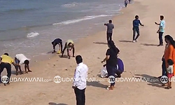 Fish wash ashore at Maraswami beach in Maravanthe, locals gather