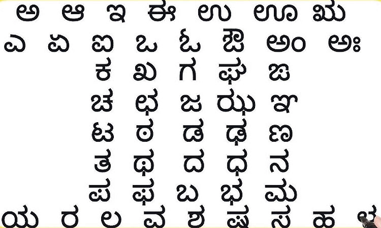ಇಂದು ಅಂತಾರಾಷ್ಟ್ರೀಯ  ಮಾತೃಭಾಷಾ ದಿನ :  ಮನುಷ್ಯನ ಹೃದಯ ತಟ್ಟುವ ಭಾಷೆ ಮಾತೃಭಾಷೆ!