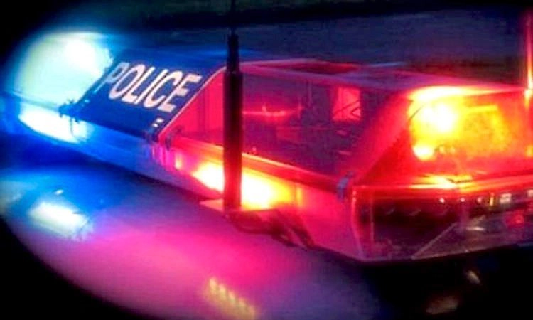 ಕಾಡುಕೋಣ ಅಕ್ರಮ ಬೇಟೆ ಪ್ರಕರಣ; ತನಿಖಾ ಲೋಪವೆಸಗಿದ ಬಗ್ಗೆ ಅರಣ್ಯಾಧಿಕಾರಿಗಳ ವಿರುದ್ಧ ದೂರು