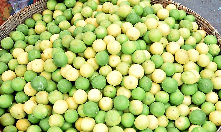 Lemon prices double in Gadag amid supply shortage and rising demand