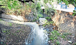 Sewage issues persist in Bijai ward, residents raise concerns over drainage and hygiene