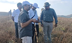 Forest fire brought under control in Kudremukh National Park, no harm to wildlife