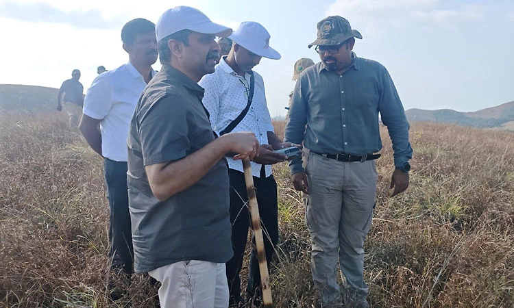 Forest fire brought under control in Kudremukh National Park, no harm to wildlife