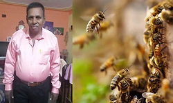 ಕೋತಿ ಕಿತಾಪತಿಯಿಂದ ಹೆಜ್ಜೇನು ದಾಳಿ, ಬೈಕ್‌ ಸವಾರ ಸಾವು