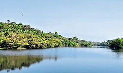 Karkala: ದಿನಕ್ಕೆ 4 ಎಂಎಲ್‌ಡಿ ನೀರು ಬೇಕು