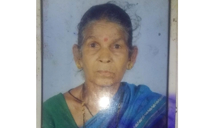 Thirthahalli: ಕೆಎಫ್‌ಡಿ ಕಾಯಿಲೆಯಿಂದ ಬಳಲುತ್ತಿದ್ದ ಮಹಿಳೆ ಸಾವು