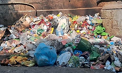 Bengaluru faces rising garbage ‘black spot’ problem as illegal dumping returns