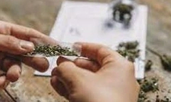 ಮಂಡ್ಯ ಜೈಲು: ಚೆಂಡೊಳಗೆ ಗಾಂಜಾ, ಮೊಬೈಲ್‌ ಪತ್ತೆ