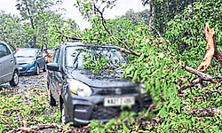 ಬೆಳ್ತಂಗಡಿ: ಭಾರೀ ಗಾಳಿ ಮಳೆ; ಅಪಾರ ಹಾನಿ