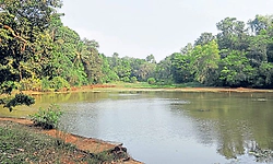 Sullia: ಅಪಾರ ಸಾಧ್ಯತೆಗಳ ಆಗರ ಮೊಗಪ್ಪೆ ಕೆರೆ