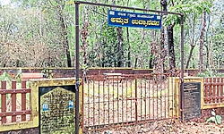 Puttur: ಕಬಕದ ಅಮೃತ ಉದ್ಯಾನವನ ಅಧ್ವಾನ!