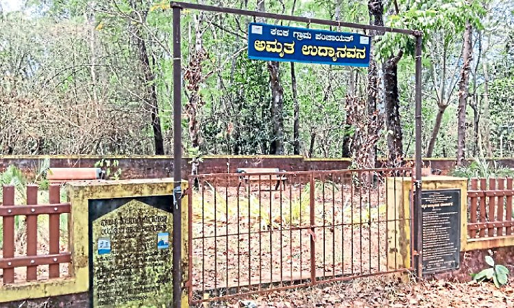 Puttur: ಕಬಕದ ಅಮೃತ ಉದ್ಯಾನವನ ಅಧ್ವಾನ!