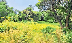 ತೆಕ್ಕಟ್ಟೆ ಗ್ರಾಮ ವ್ಯಾಪ್ತಿಯಲ್ಲಿ 42 ಕೆರೆಗಳು!