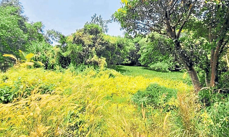 ತೆಕ್ಕಟ್ಟೆ ಗ್ರಾಮ ವ್ಯಾಪ್ತಿಯಲ್ಲಿ 42 ಕೆರೆಗಳು!